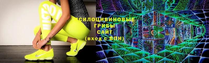 Галлюциногенные грибы Cubensis  Курчалой 